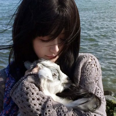 菊花香